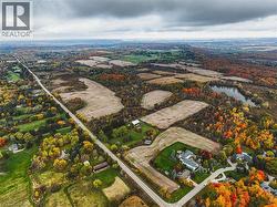 Expansive rural landscape featuring a winding road, cultivated fields, and a tranquil pond - 