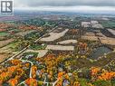 Expansive aerial landscape featuring a residential area surrounded by vibrant autumn foliage, agricultural fields, and a natural pond - 3415 Cedar Springs Road, Burlington, ON 