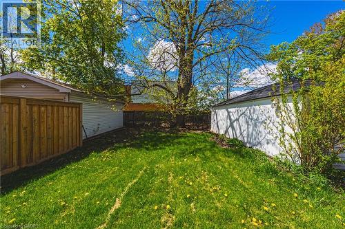 Expansive grassy area with mature deciduous trees and privacy fencing - 242 East 43Rd Street, Hamilton, ON - Outdoor