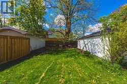 Expansive grassy area with mature deciduous trees and privacy fencing - 