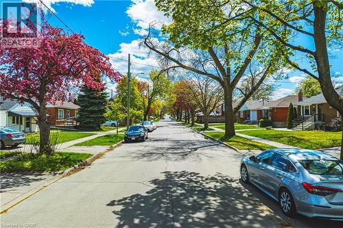 Tree-lined street with mature foliage and well-maintained sidewalks - 242 East 43Rd Street, Hamilton, ON - Outdoor