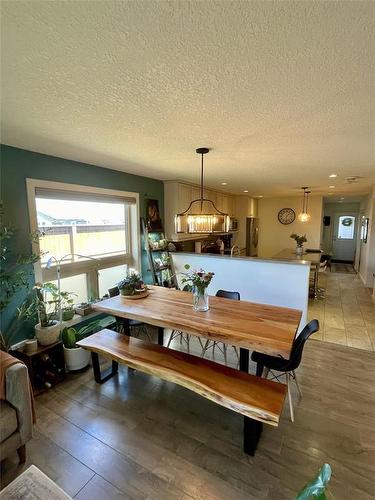 2 Birchwood Drive, Brandon, MB - Indoor Photo Showing Living Room