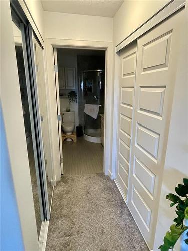Double closets - 2 Birchwood Drive, Brandon, MB - Indoor Photo Showing Other Room