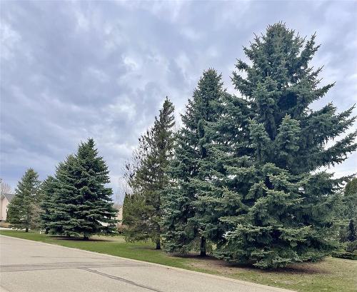 Great Green space area across the street from the front door - 10 Falcon Place, Brandon, MB 