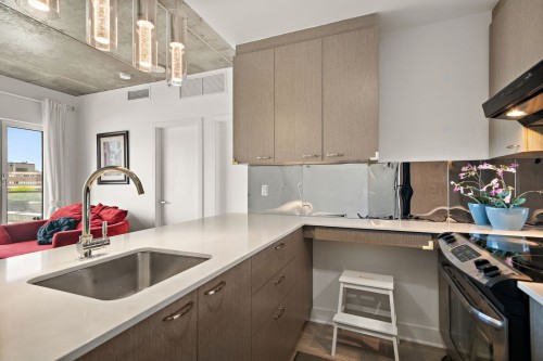 Cuisine - 916-1150 Rue St-Denis, Montréal (Ville-Marie), QC - Indoor Photo Showing Kitchen