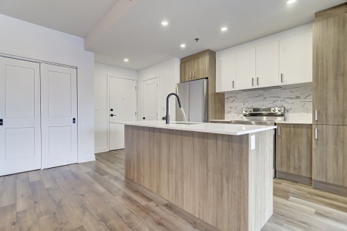Cuisine - 209-2020 Rue Lucien-Thimens, Montréal (Saint-Laurent), QC - Indoor Photo Showing Kitchen With Upgraded Kitchen