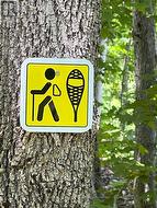 Hiking Trails - 
