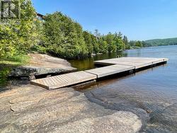 Swim Dock - 