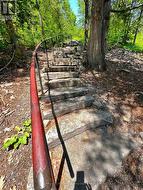 Stairs to Dock - 