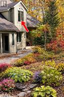 Fall is Beautiful - 