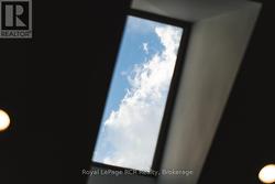 skylight - 
