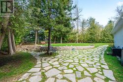 back yard - 