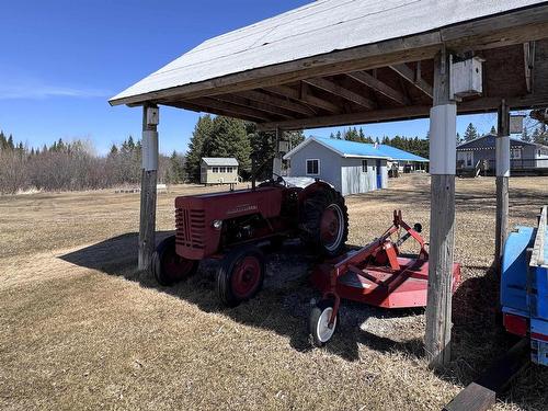 1251 Barnhart Road, Emo, ON - Outdoor