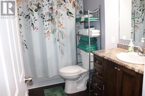 68 Main Road, Cold Brook, NL - Indoor Photo Showing Bathroom
