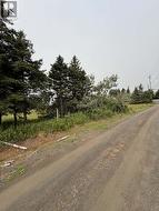 4-6 Lahey's Lane Wabana, NL A0A 1H0