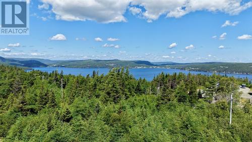 80 Main Road, Queens Cove, NL 
