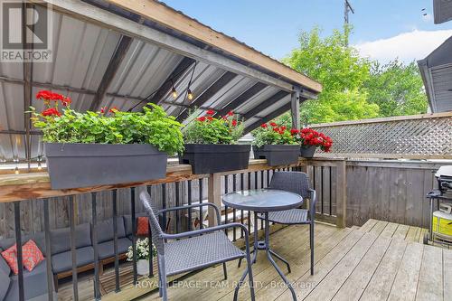 33 Gould Street, Ottawa, ON - Outdoor With Deck Patio Veranda With Exterior