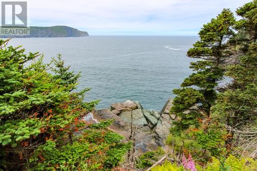 45 Motion Lane, Torbay, NL - Outdoor With Body Of Water With View
