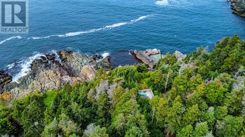 45 Motion Lane, Torbay, NL - Outdoor With Body Of Water With View