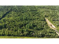 Woodlot Route 8 Blissfield, NB E9C 1X5