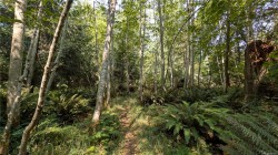LT A North Rd Gabriola Island, BC V0R 1X3