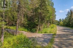 1630 MIDLOTHIAN ROAD Ryerson, ON P0A 1C0
