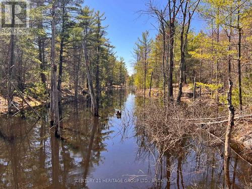 2355 Raymo Road, Frontenac (Frontenac Centre), ON - Outdoor With View