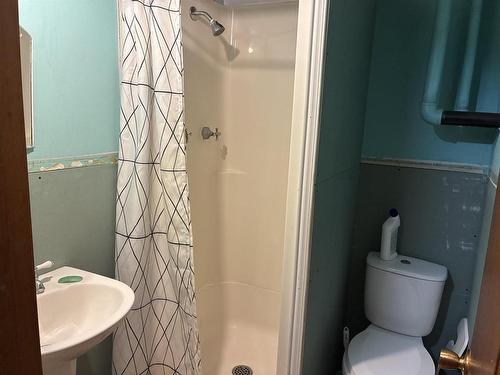 85 Brookside Branch Road, Brookside, NS - Indoor Photo Showing Bathroom