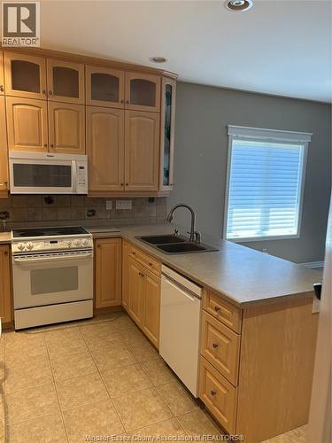 1465 Poisson, Tecumseh, ON - Indoor Photo Showing Kitchen With Double Sink