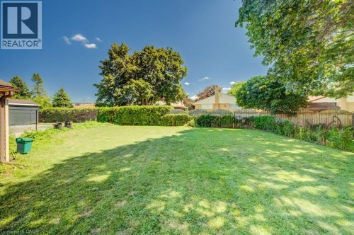 Expansive rear yard featuring a large grassy area, mature trees, and natural privacy landscaping - 209 Belleview Avenue, Kitchener, ON - Outdoor