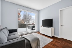 Living Room - 