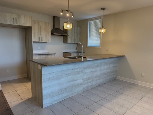 Kitchen - 101-1505 Rue Bernier, Saint-Jean-Sur-Richelieu, QC - Indoor Photo Showing Kitchen With Double Sink