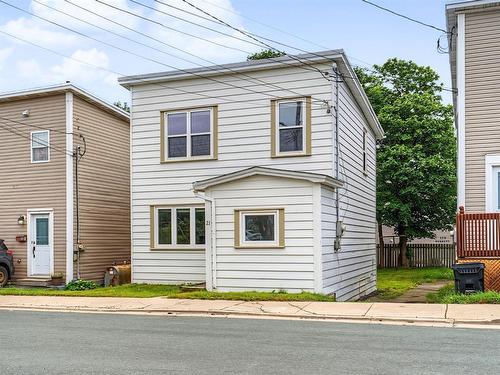 21 Blackmarsh Road, St. John'S, NL - Outdoor