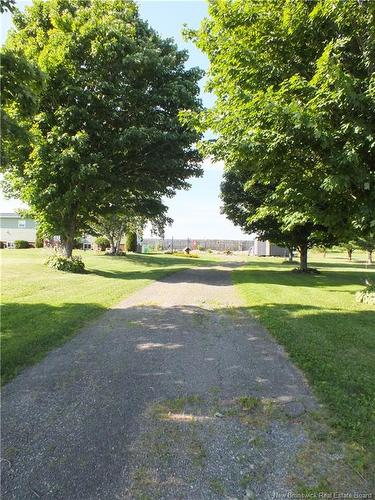 1154 Route 555, Richmond Settlement, NB 