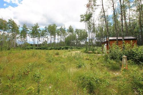 39 Craig'S Cove, Ste Rita, MB 