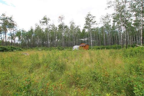 39 Craig'S Cove, Ste Rita, MB 
