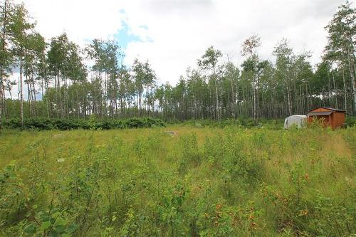 39 Craig'S Cove, Ste Rita, MB 
