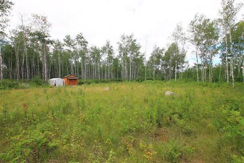 39 Craig'S Cove, Ste Rita, MB 
