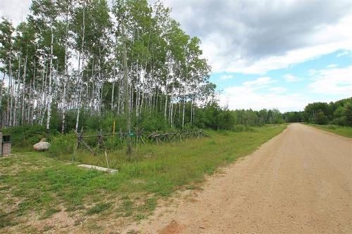 39 Craig'S Cove, Ste Rita, MB 