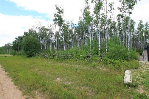 39 Craig'S Cove, Ste Rita, MB 