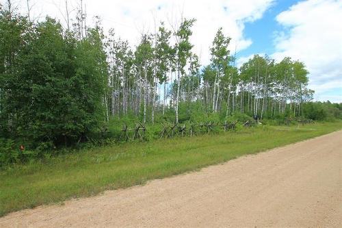 39 Craig'S Cove, Ste Rita, MB 