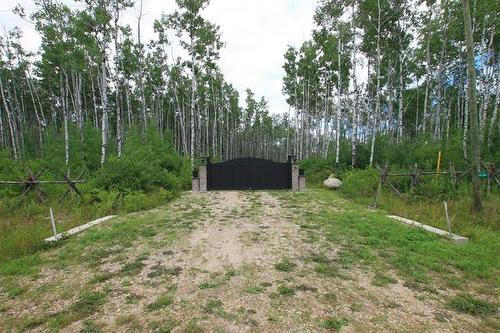 39 Craig'S Cove, Ste Rita, MB 
