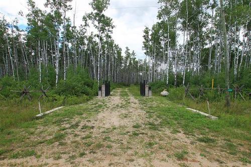 39 Craig'S Cove, Ste Rita, MB 