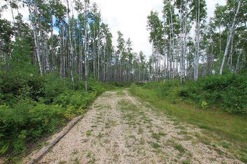 39 Craig'S Cove, Ste Rita, MB 