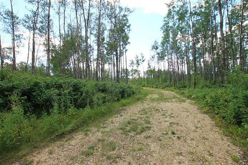 39 Craig'S Cove, Ste Rita, MB 
