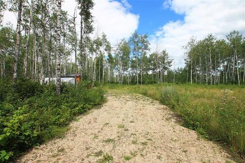 39 Craig'S Cove, Ste Rita, MB 