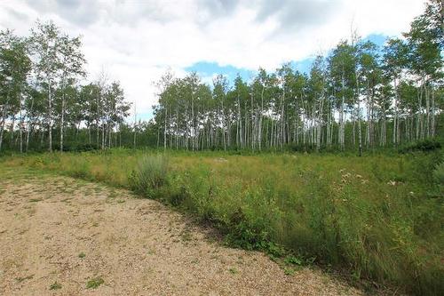 39 Craig'S Cove, Ste Rita, MB 