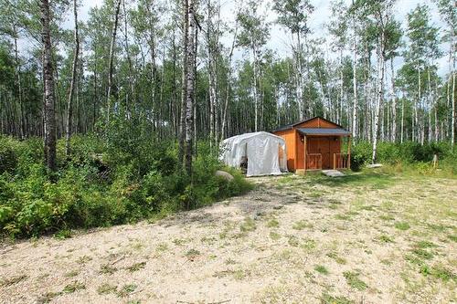 39 Craig'S Cove, Ste Rita, MB 
