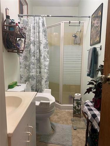 371 St John'S Ave, Winnipeg, MB - Indoor Photo Showing Bathroom