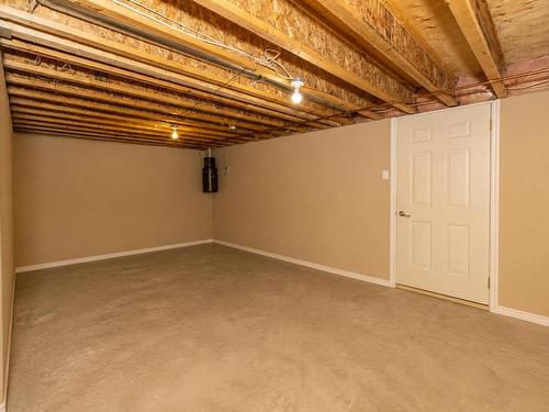 132 Wolverine Crescent, Thunder Bay, ON - Indoor Photo Showing Basement